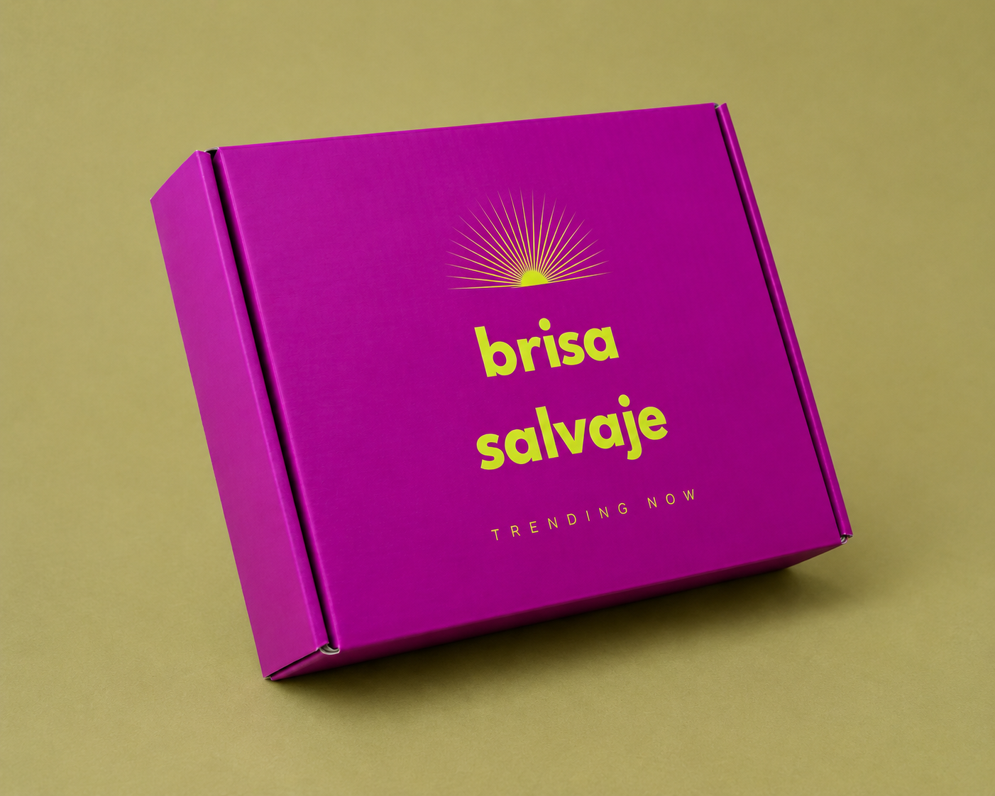 Caja Pizzera